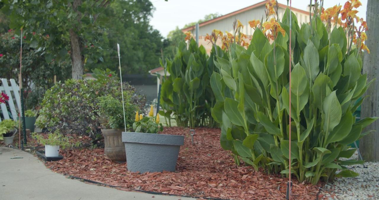 Granbury Gardens Bed And Breakfast Exterior foto